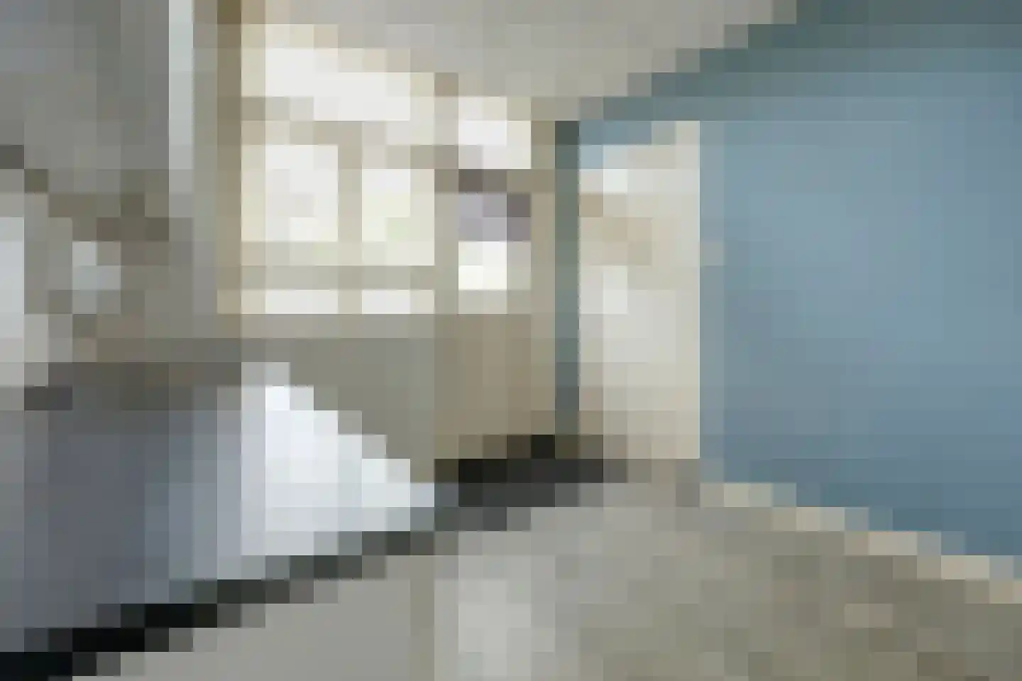 Bornsestraat 98 Almelo thumbnail 16