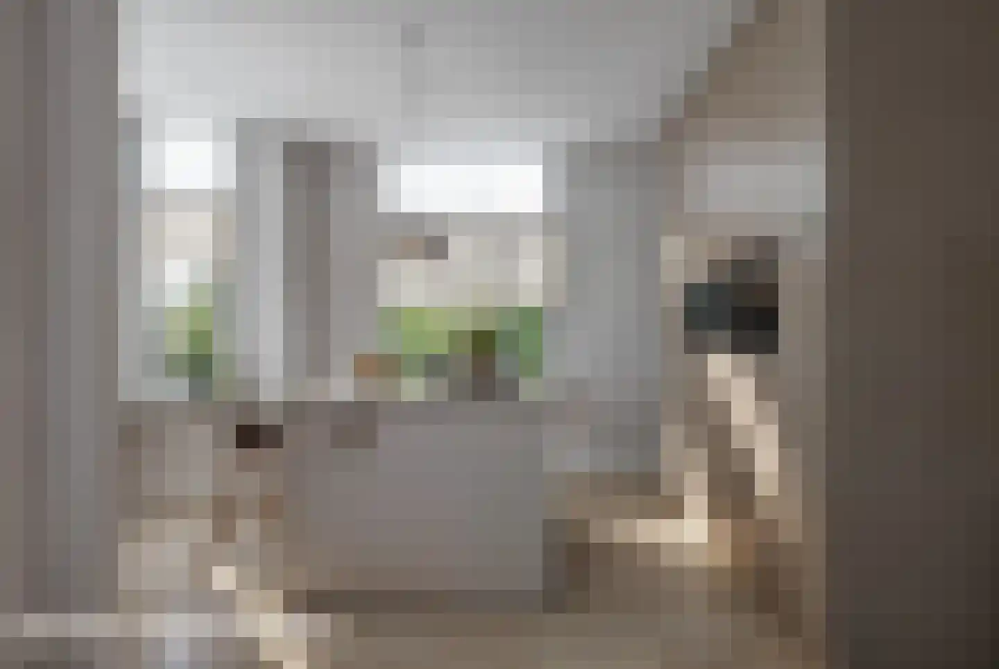 Bornsestraat 98 Almelo thumbnail 17