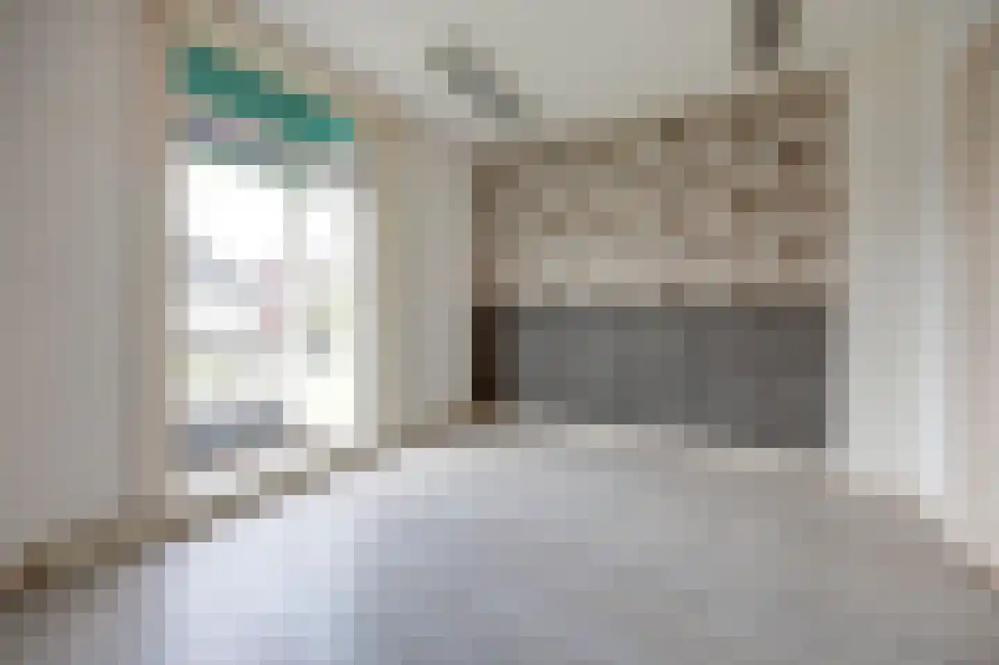 Bornsestraat 98 Almelo thumbnail 36