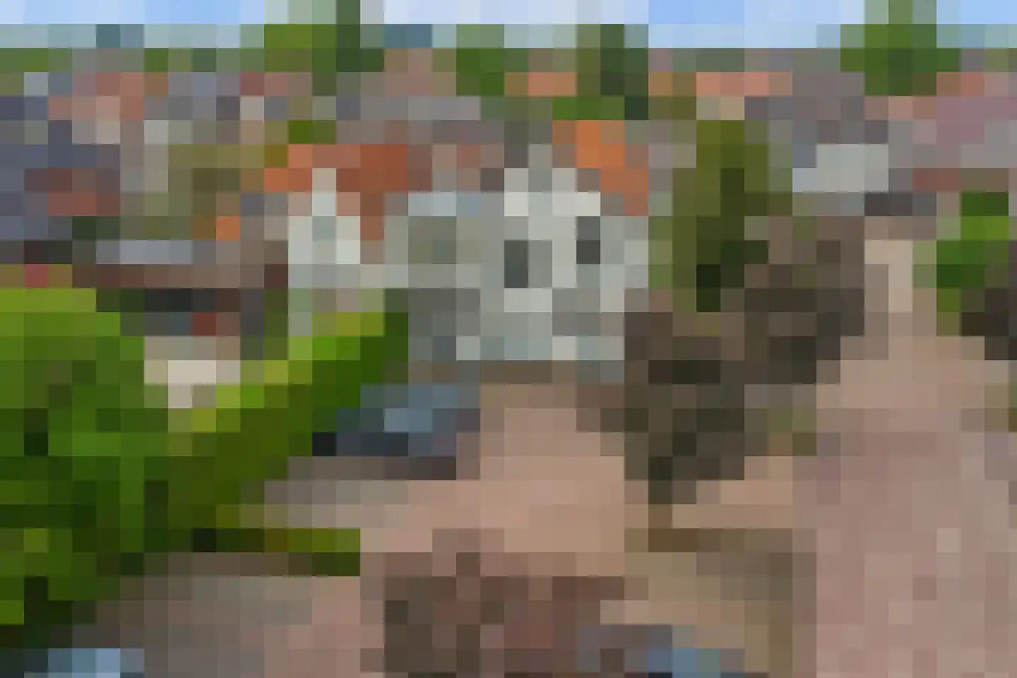 Bornsestraat 98 Almelo thumbnail 42