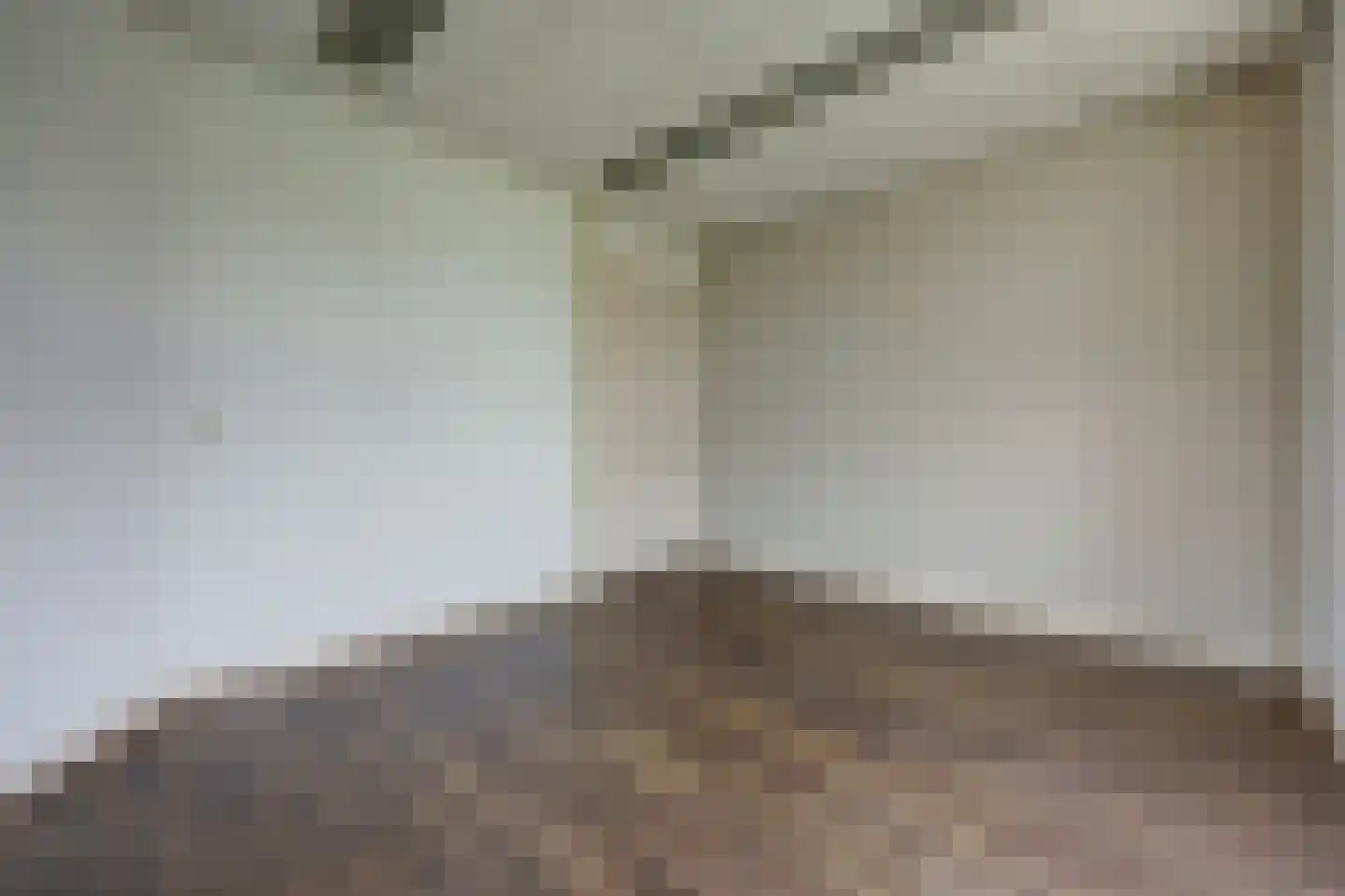 Bornsestraat 98 Almelo thumbnail 9