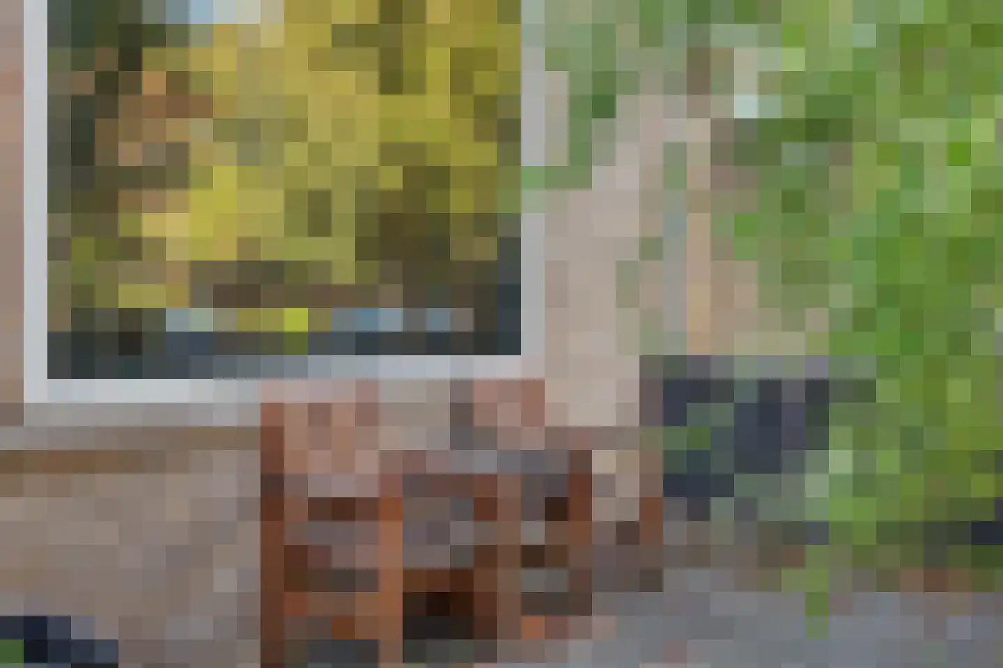 Borodinlaan 20 Schiedam thumbnail 41