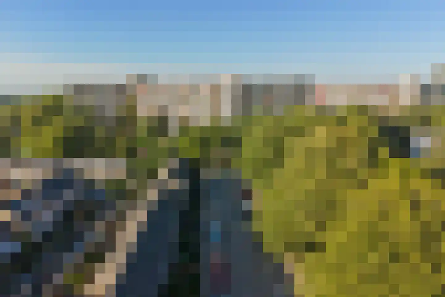 Borodinlaan 20 Schiedam thumbnail 52