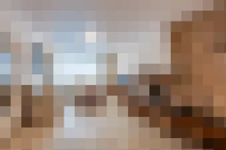 Borodinstraat 110 Tilburg thumbnail 12