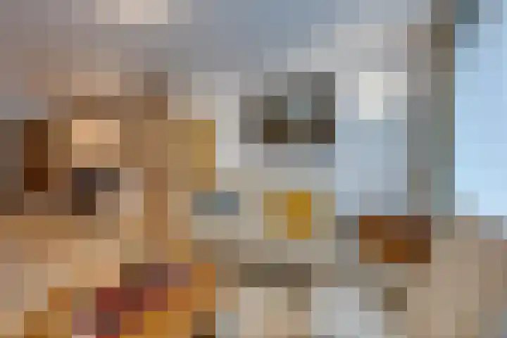 Borodinstraat 110 Tilburg thumbnail 13