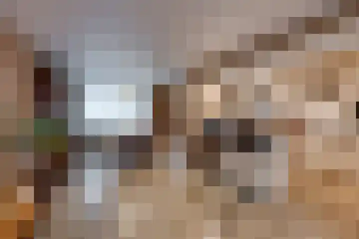 Borodinstraat 110 Tilburg thumbnail 14