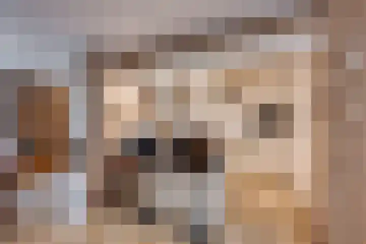 Borodinstraat 110 Tilburg thumbnail 15