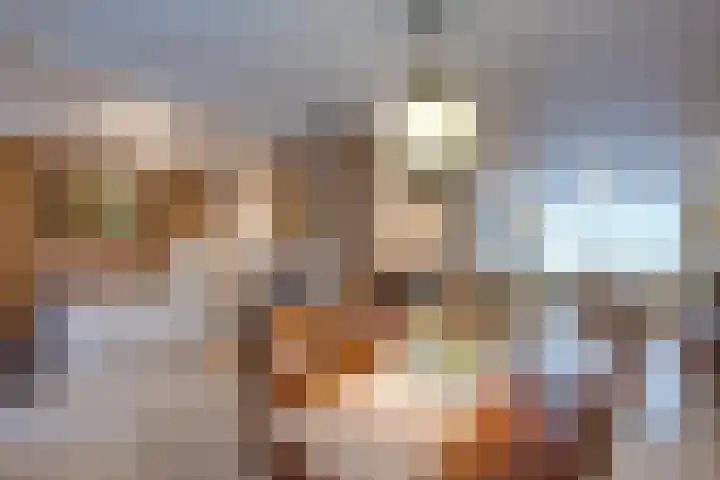 Borodinstraat 110 Tilburg thumbnail 16