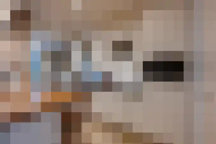 Borodinstraat 110 Tilburg thumbnail 19