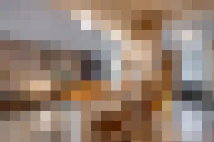 Borodinstraat 110 Tilburg thumbnail 20