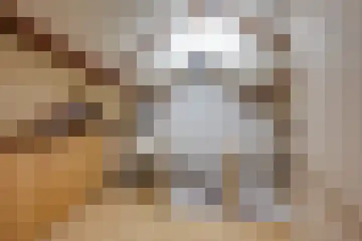 Borodinstraat 110 Tilburg thumbnail 30