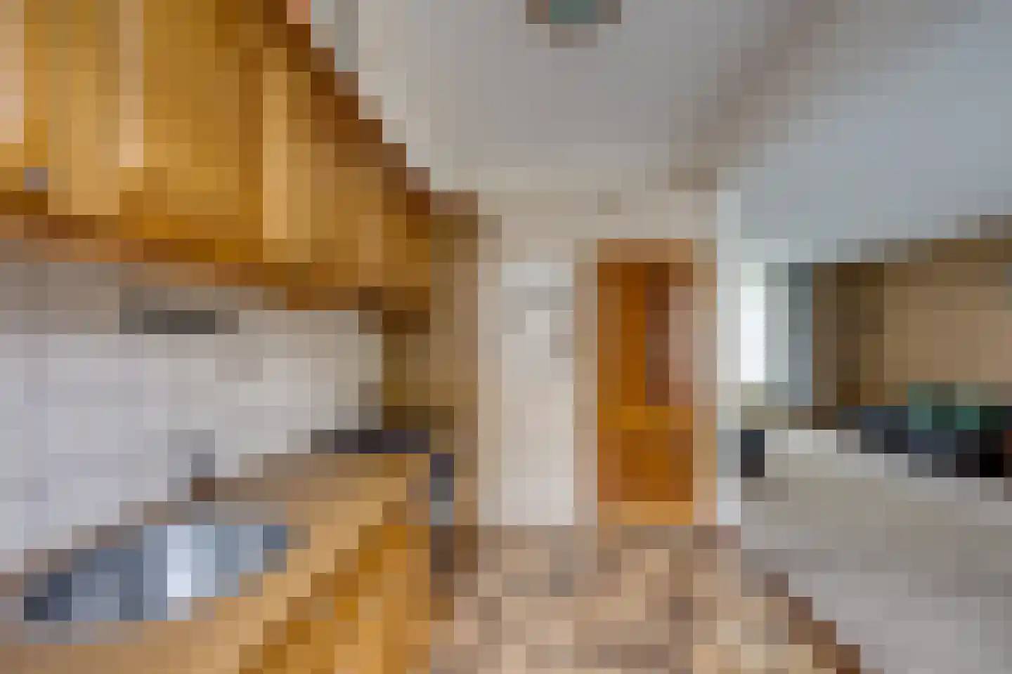 Borodinstraat 196 Tilburg thumbnail 12