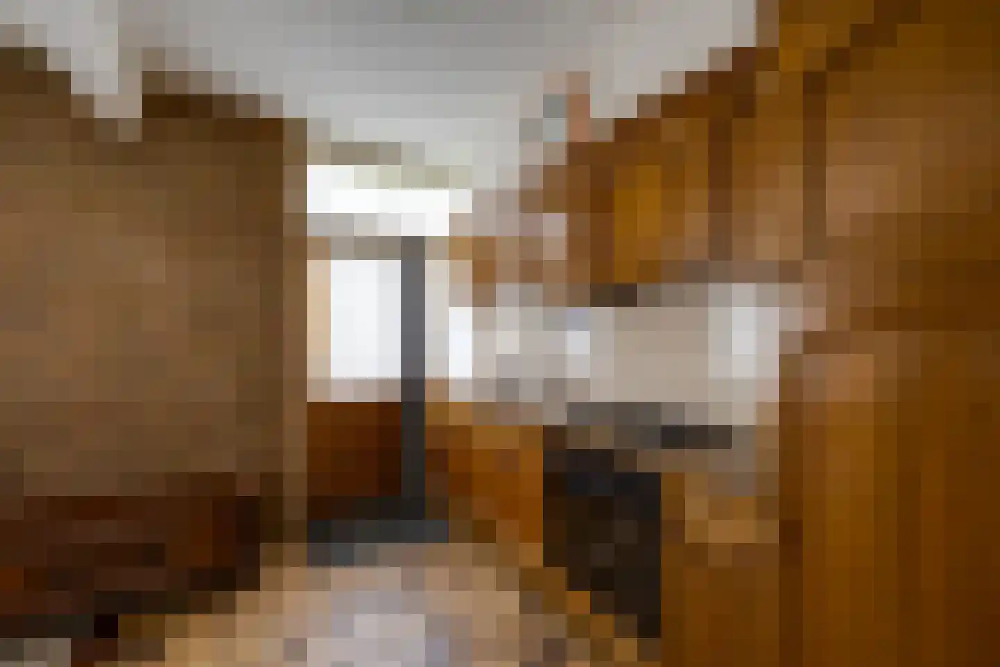 Borodinstraat 196 Tilburg thumbnail 13