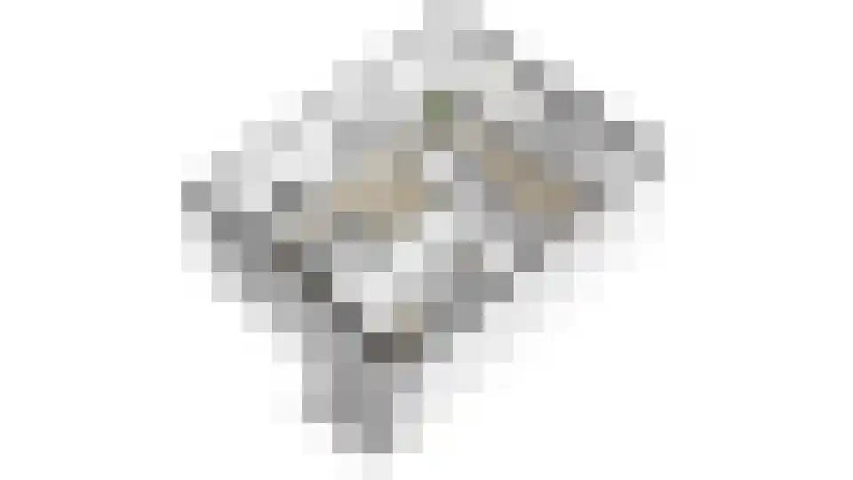 Borodinstraat 196 Tilburg thumbnail 37