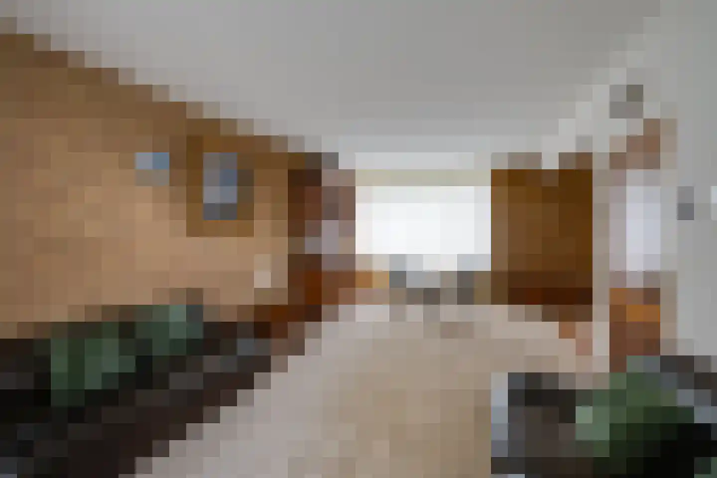Borodinstraat 196 Tilburg thumbnail 7