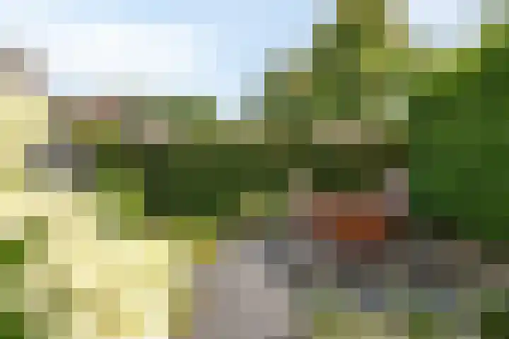 Boromir 16 Geldrop thumbnail 31