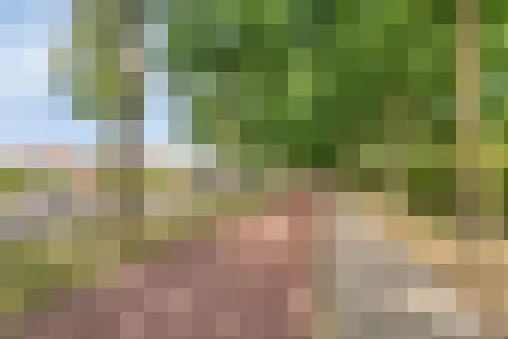 Boromir 16 Geldrop thumbnail 36