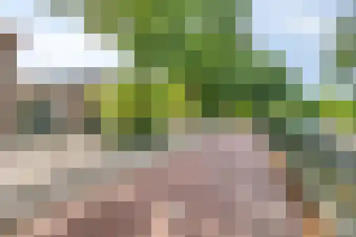 Boromir 16 Geldrop thumbnail 37