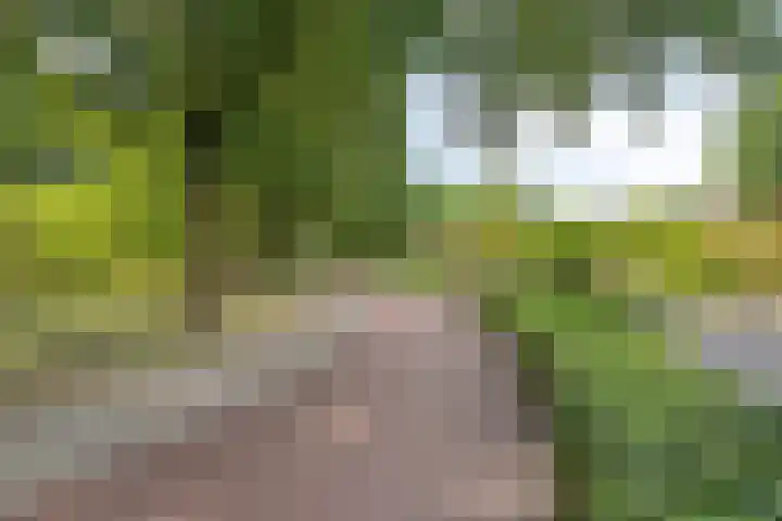 Boromir 16 Geldrop thumbnail 38