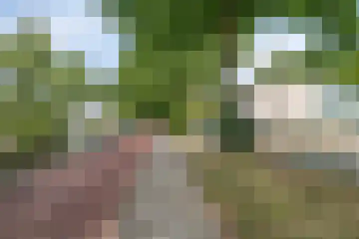 Boromir 16 Geldrop thumbnail 39