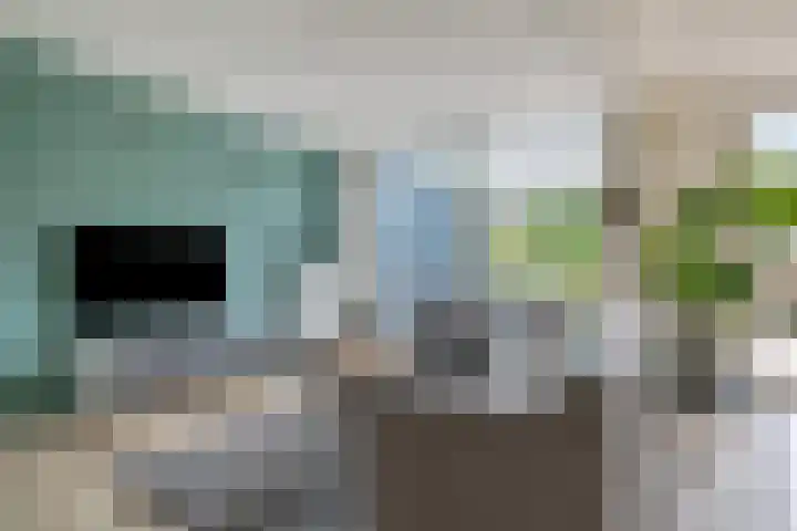 Boromir 16 Geldrop thumbnail 4