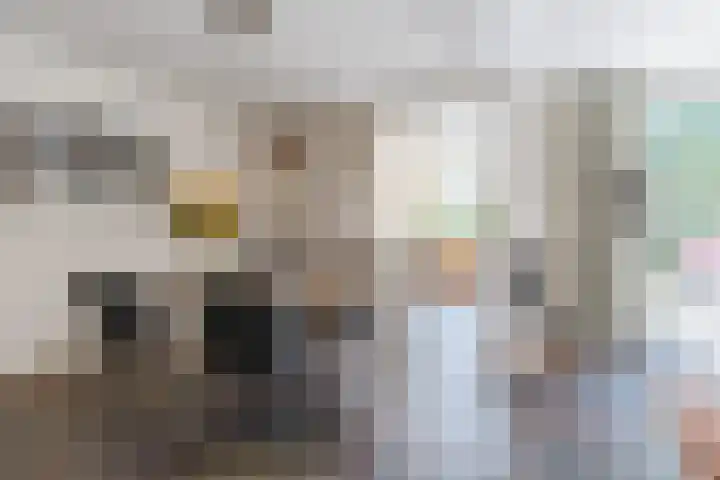 Boromir 20 Geldrop thumbnail 12