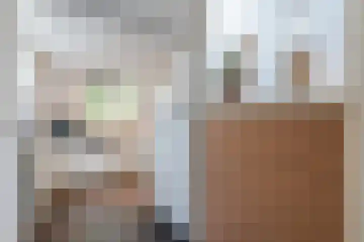 Boromir 20 Geldrop thumbnail 16