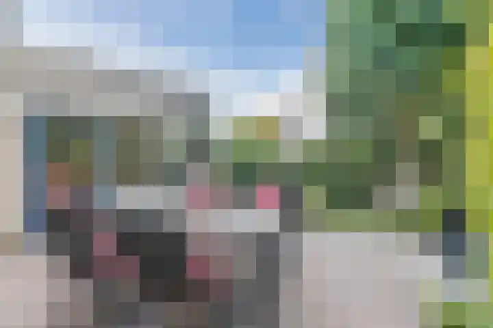 Boromir 20 Geldrop thumbnail 36
