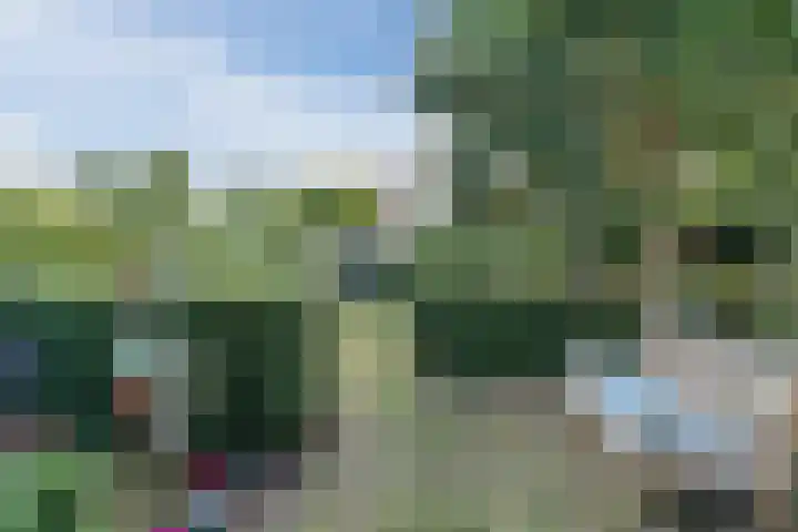 Boromir 20 Geldrop thumbnail 37
