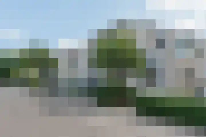 Boromir 20 Geldrop thumbnail 40