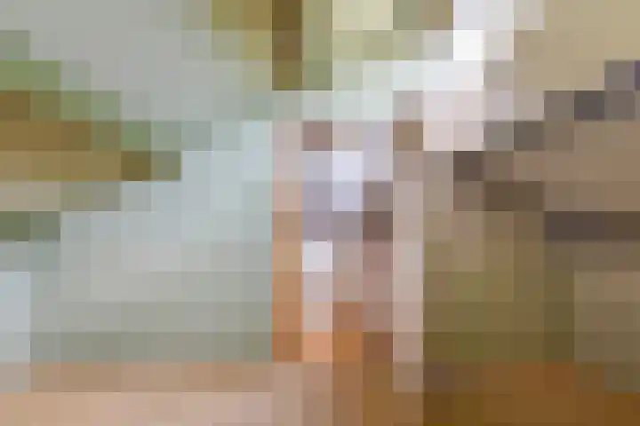 Boromir 20 Geldrop thumbnail 45