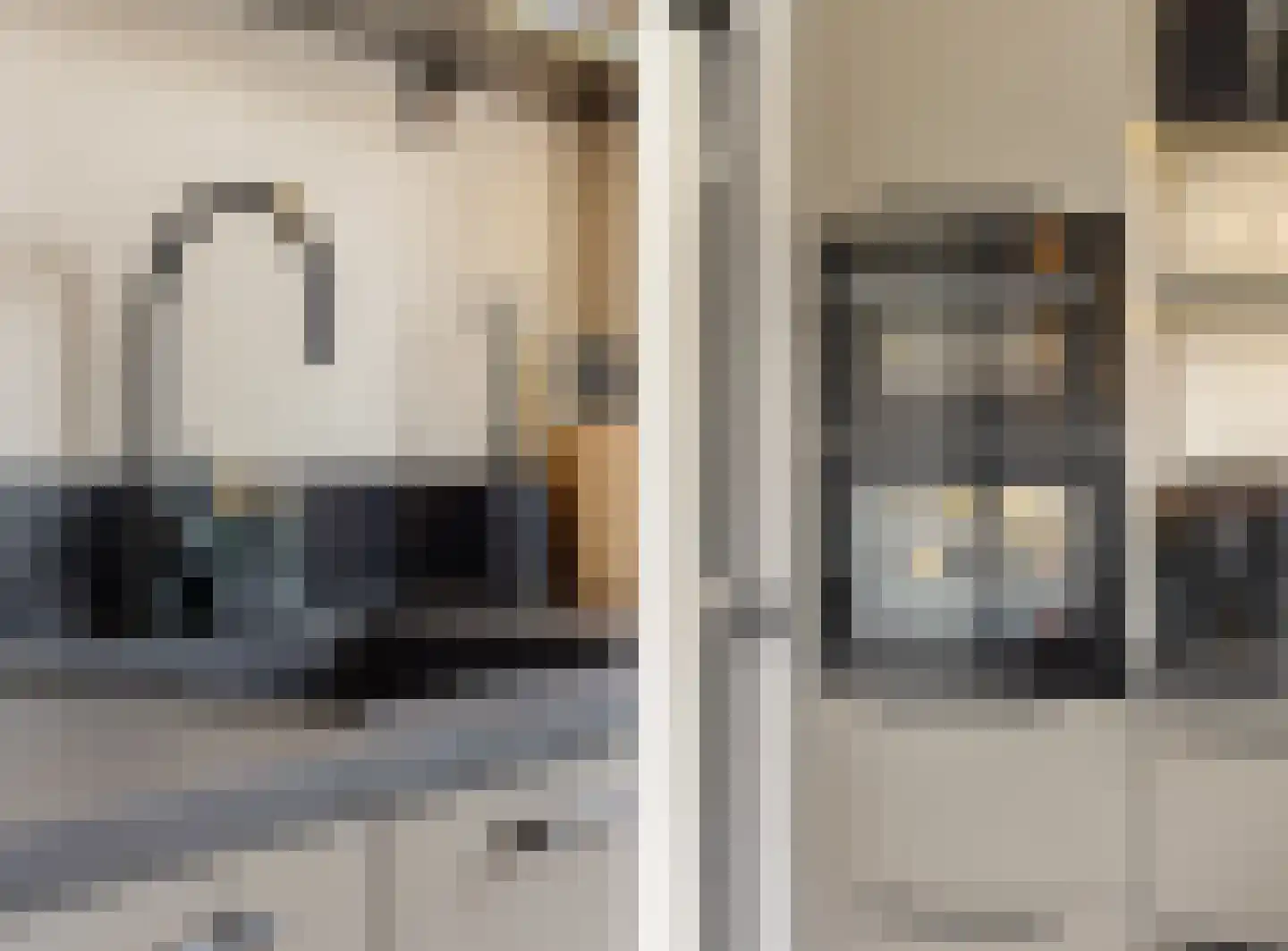 Borredreef 10 Vlijmen thumbnail 13