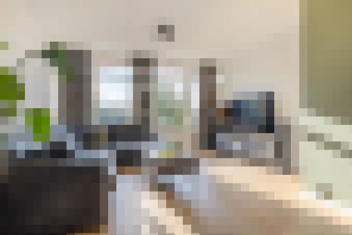 Borredreef 10 Vlijmen thumbnail 17