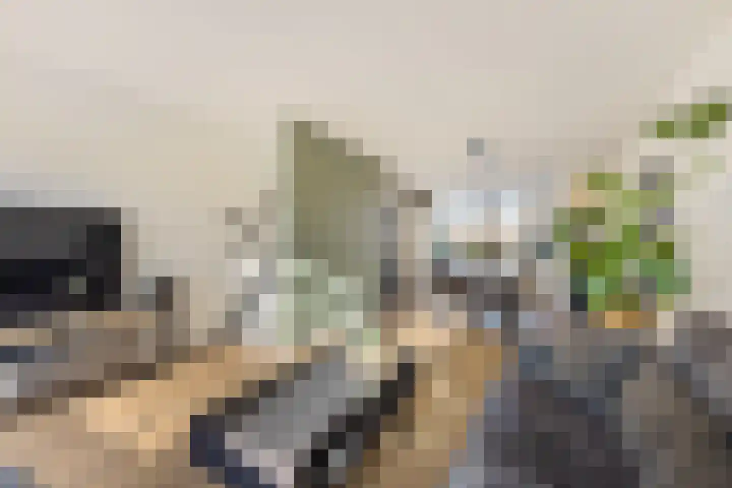Borredreef 10 Vlijmen thumbnail 18