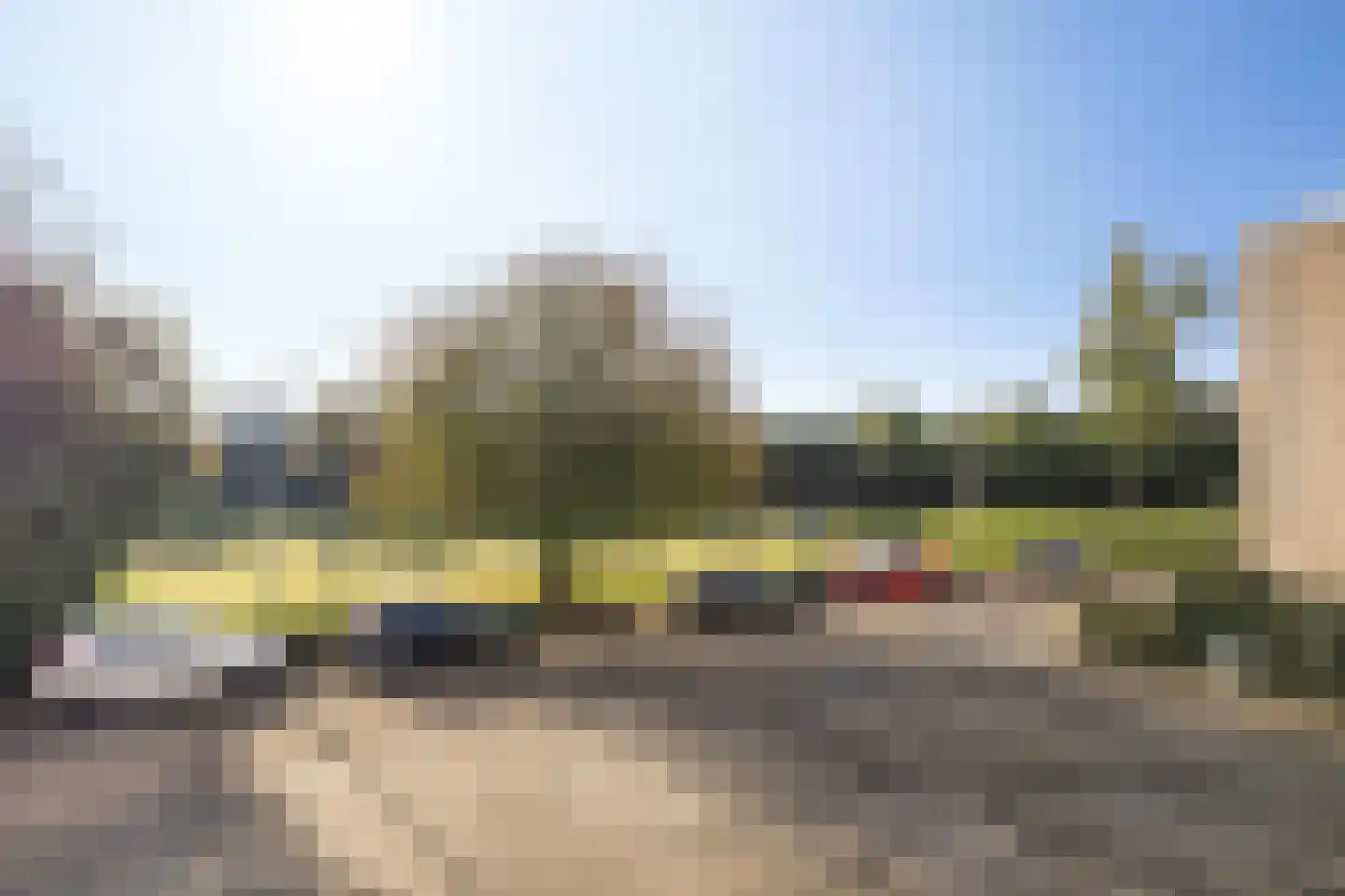 Borredreef 10 Vlijmen thumbnail 19