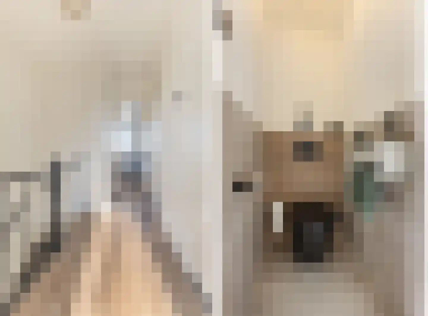 Borredreef 10 Vlijmen thumbnail 23