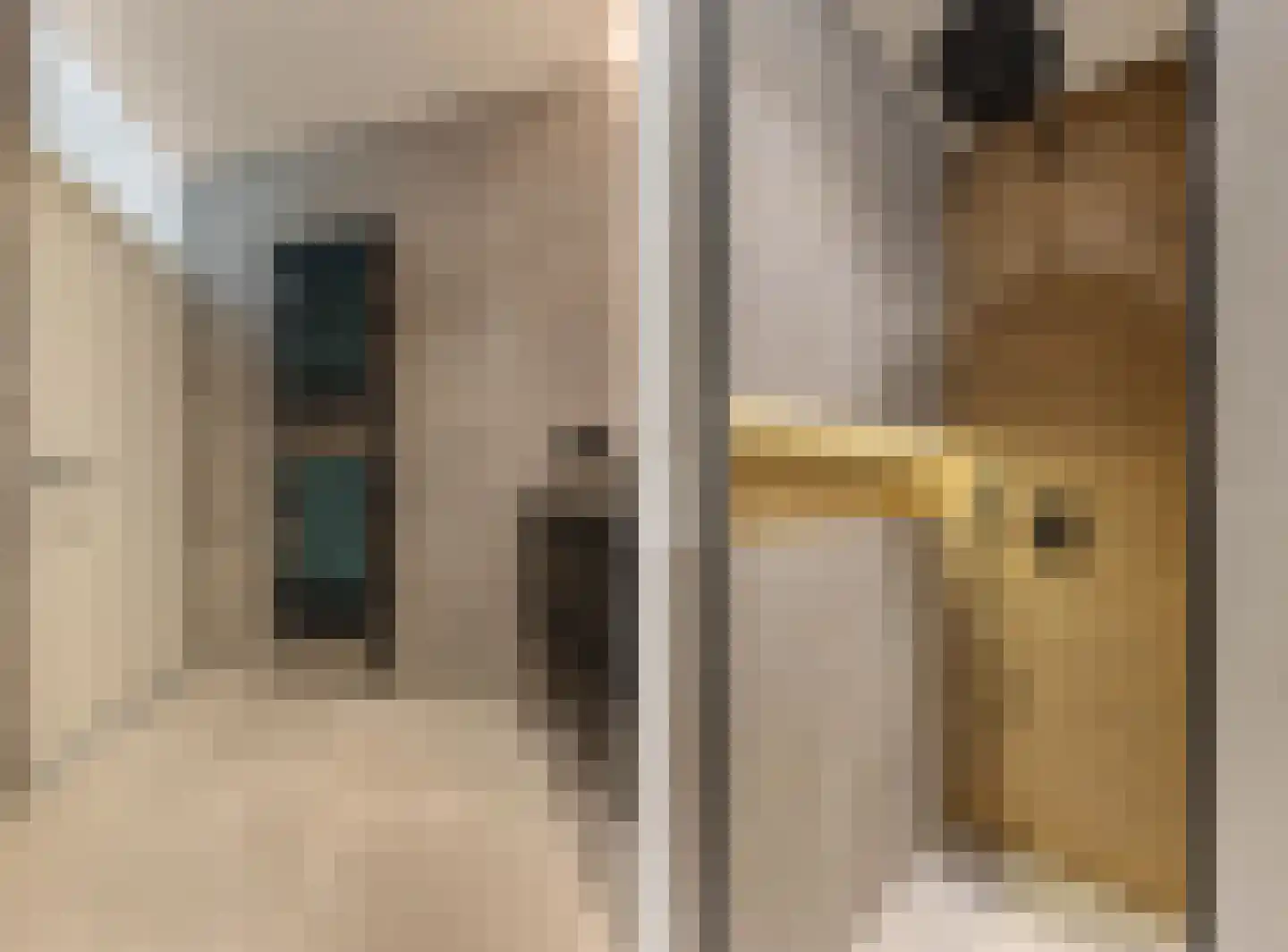 Borredreef 10 Vlijmen thumbnail 26