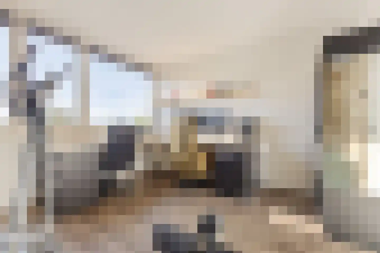 Borredreef 10 Vlijmen thumbnail 28