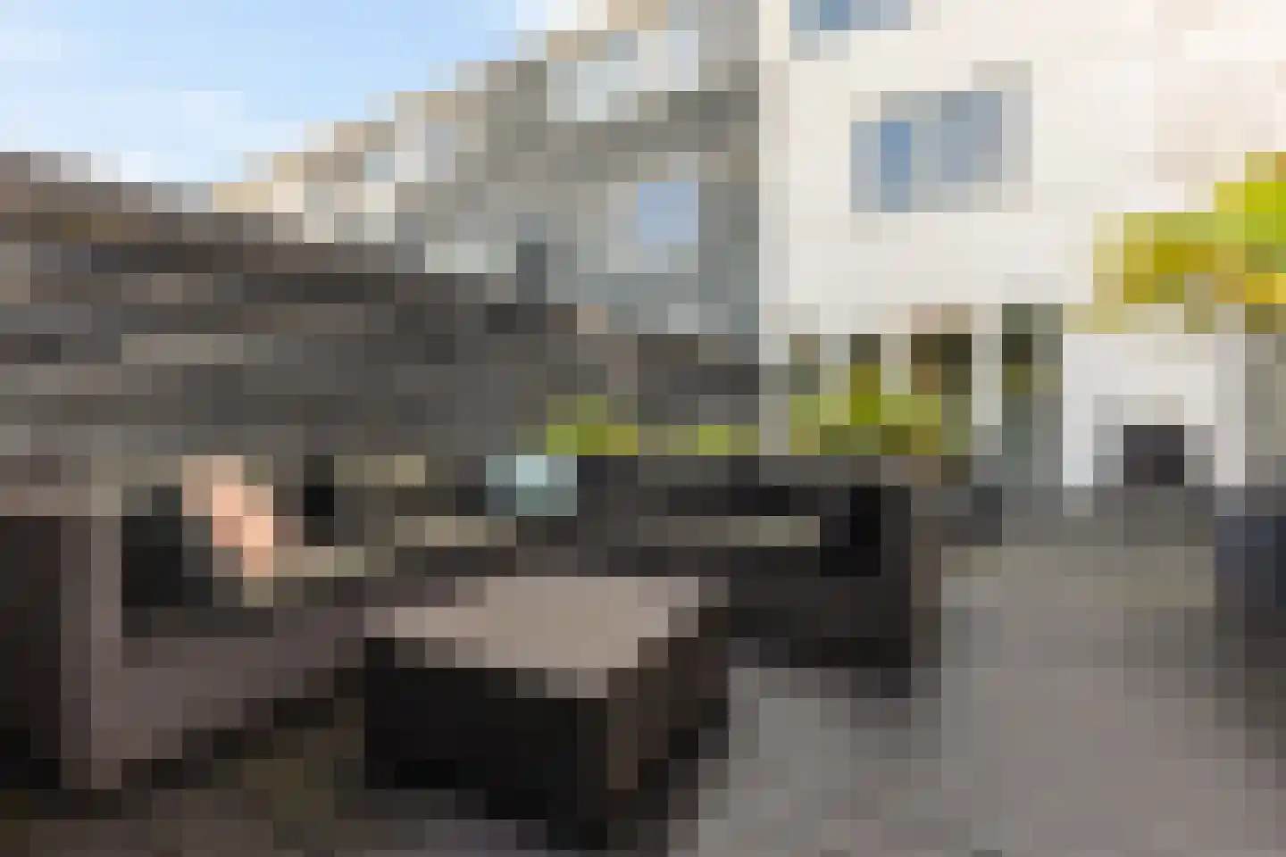 Borredreef 10 Vlijmen thumbnail 29