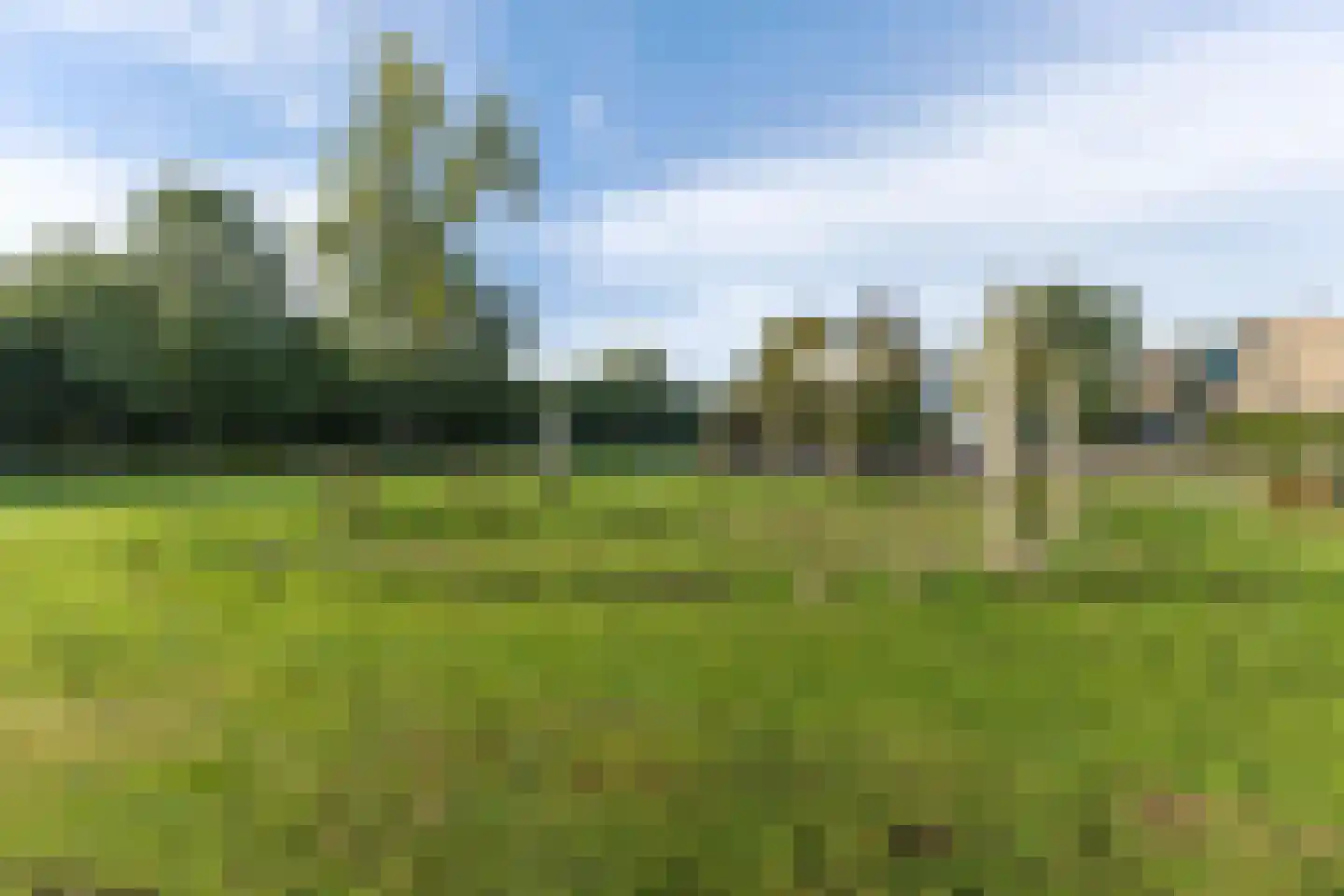 Borredreef 10 Vlijmen foto 3