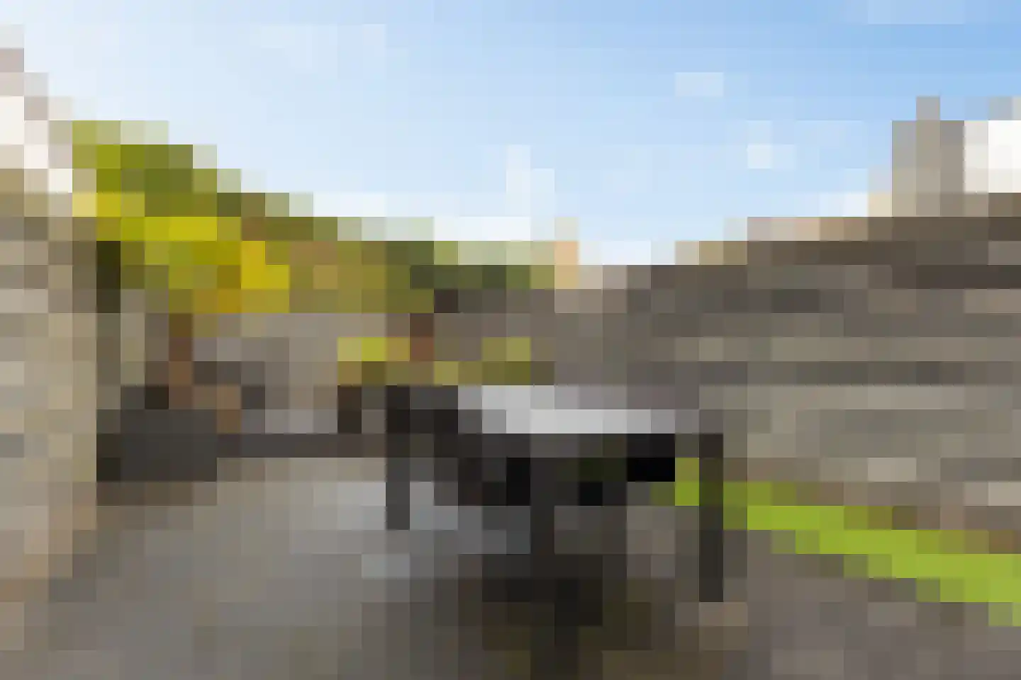 Borredreef 10 Vlijmen thumbnail 30