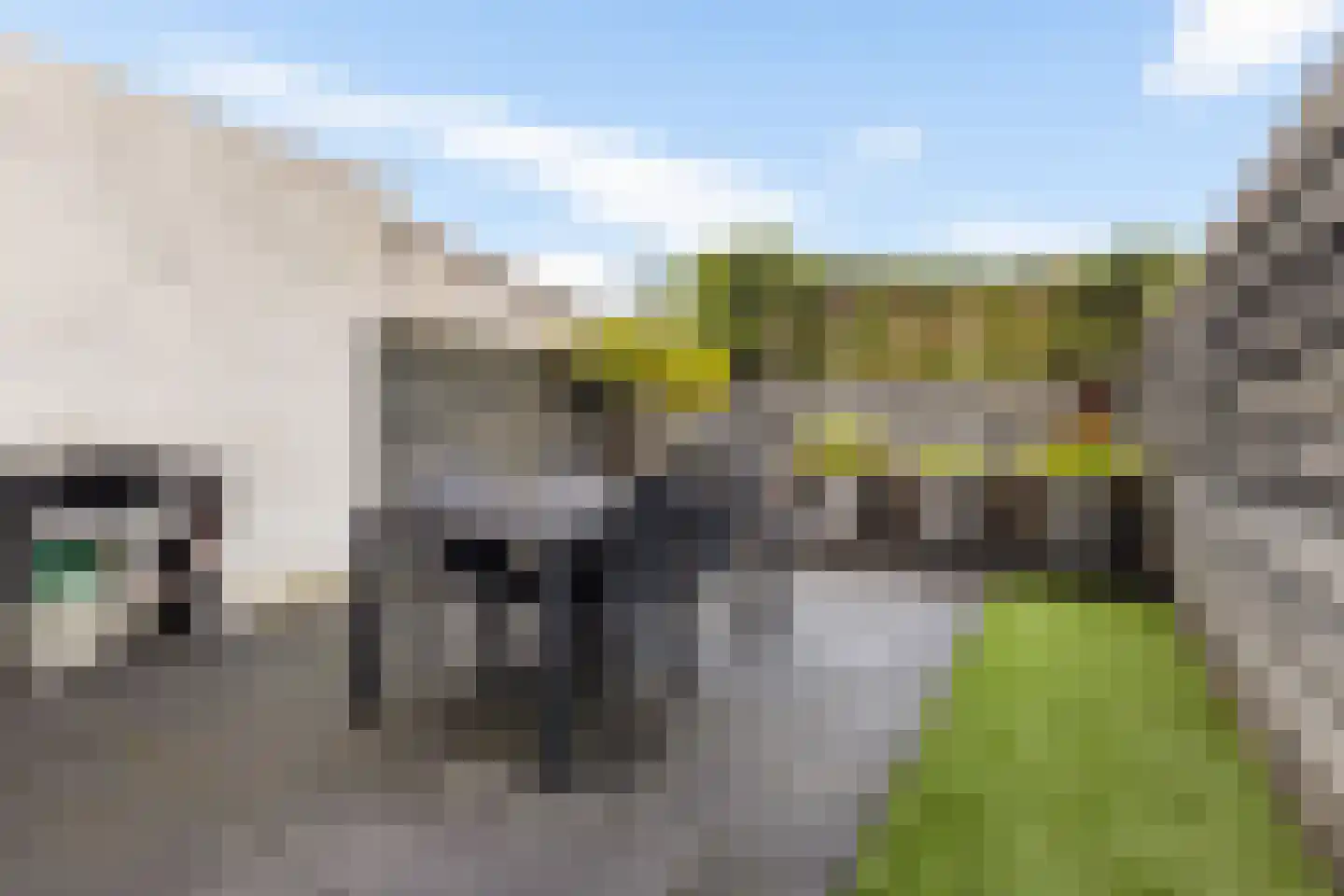 Borredreef 10 Vlijmen thumbnail 31