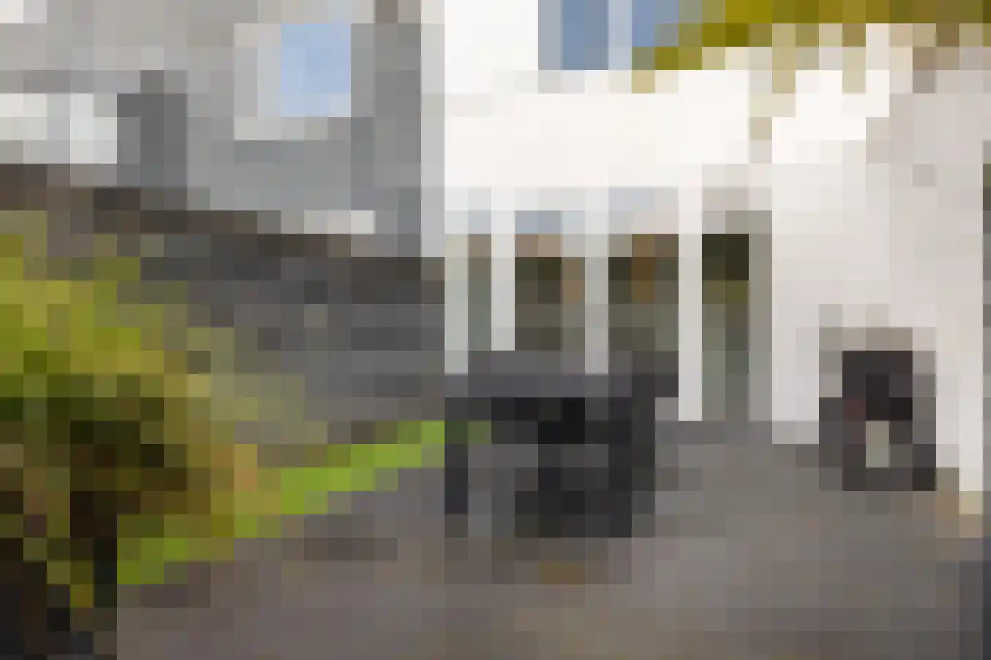 Borredreef 10 Vlijmen thumbnail 33