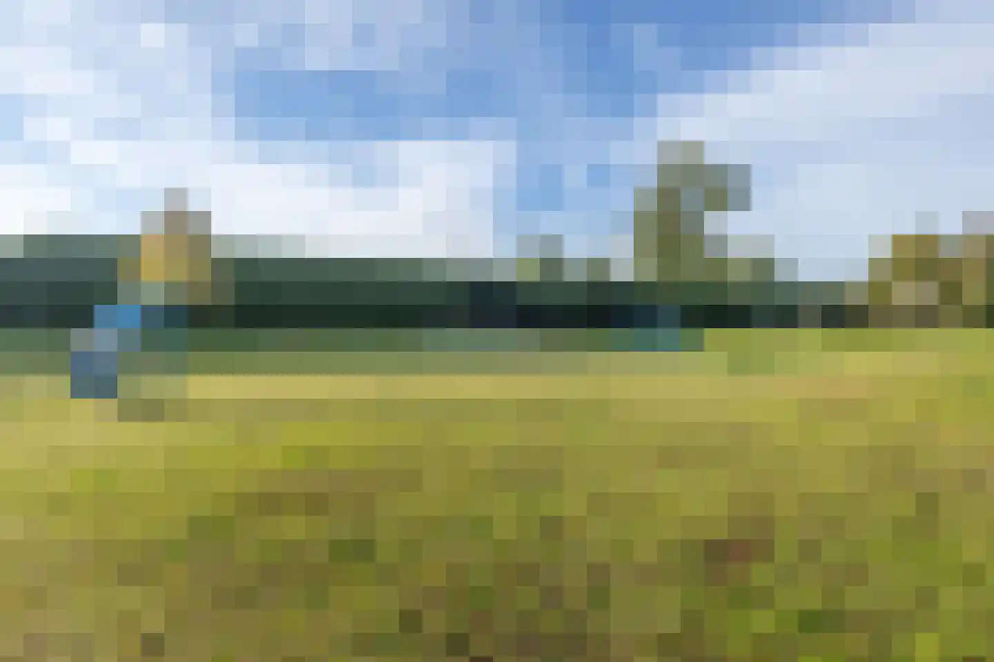 Borredreef 10 Vlijmen thumbnail 36