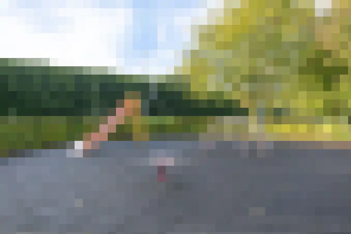Borredreef 10 Vlijmen thumbnail 37