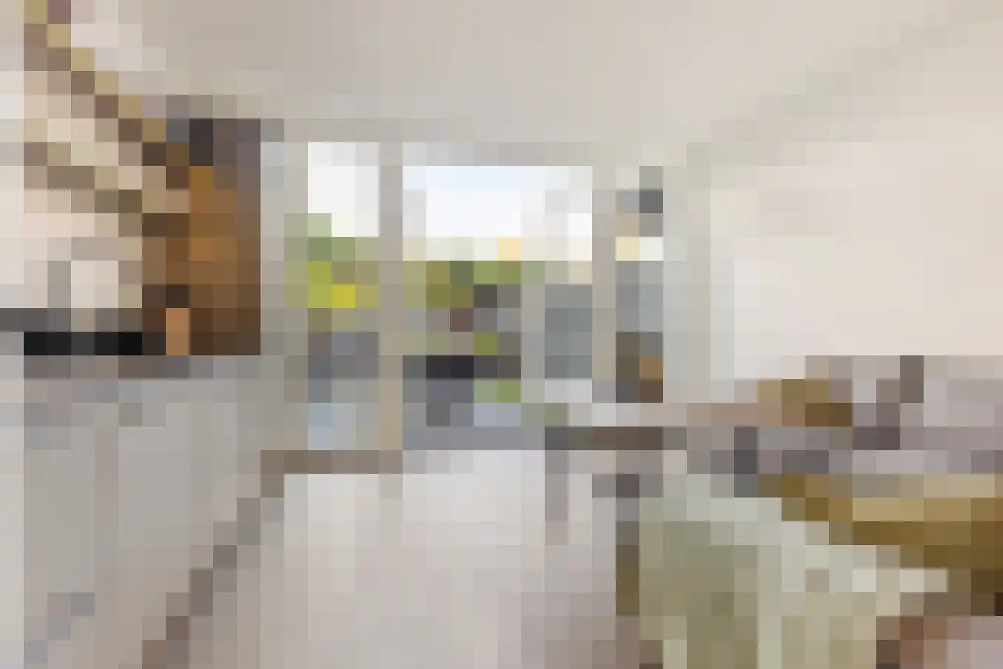 Borredreef 10 Vlijmen thumbnail 4