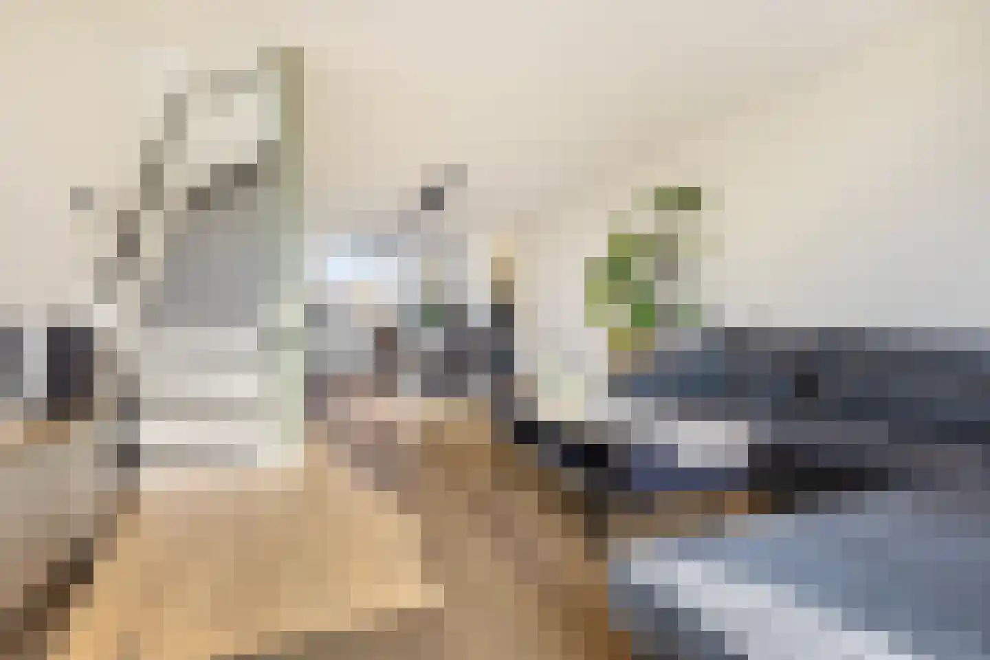 Borredreef 10 Vlijmen thumbnail 5