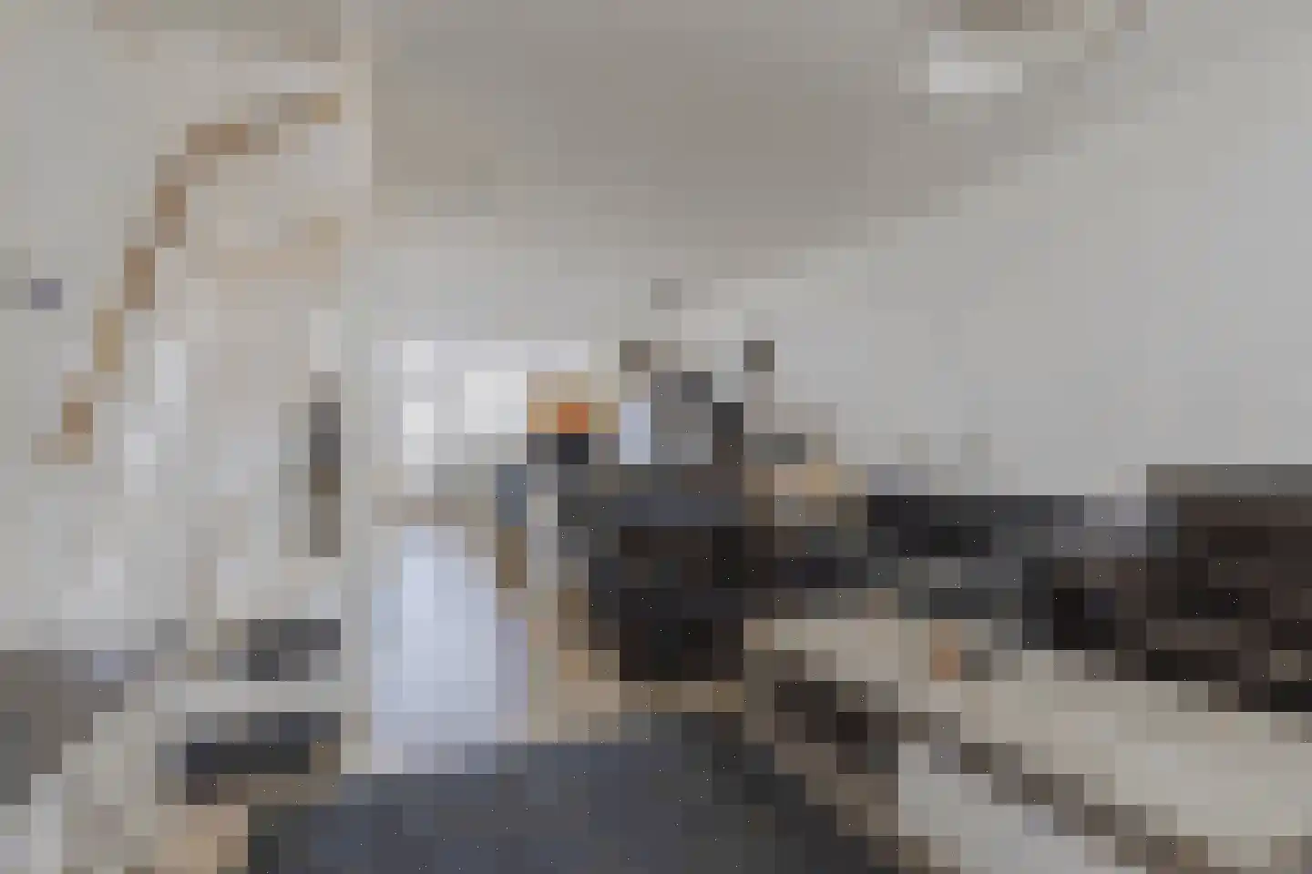 Borredreef 22 Vlijmen thumbnail 10