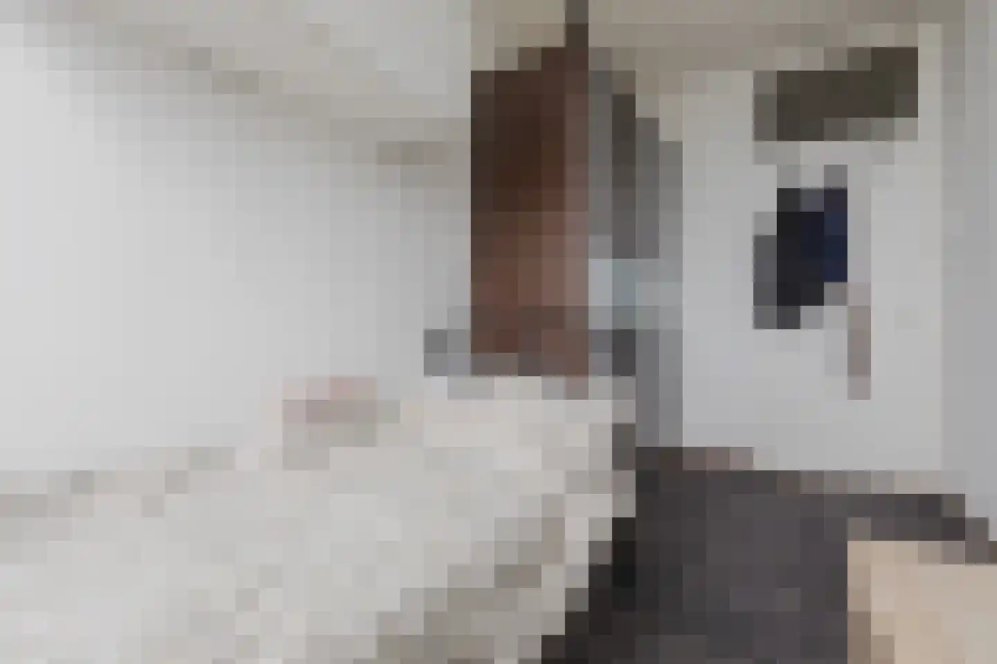 Borredreef 22 Vlijmen thumbnail 21