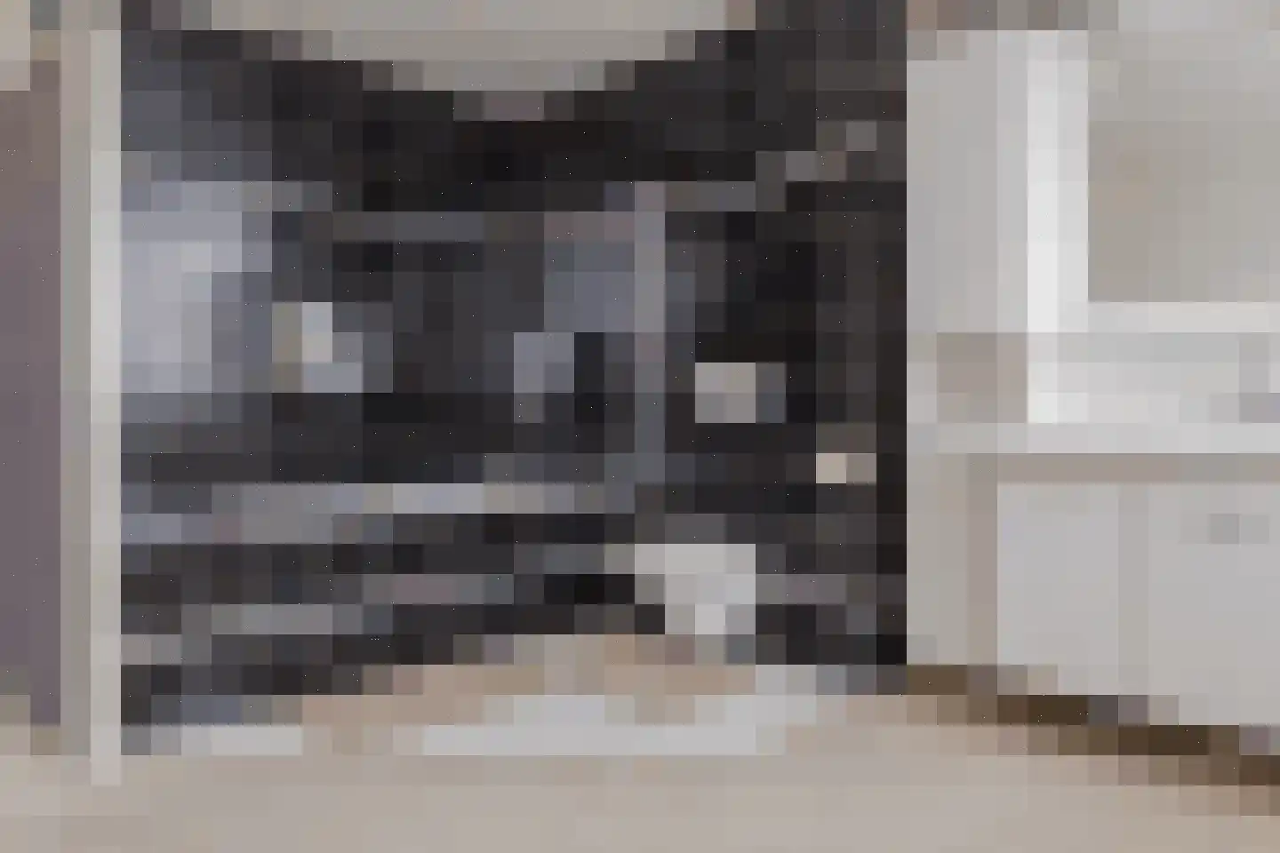 Borredreef 22 Vlijmen thumbnail 24